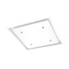 Designer Anzi Ceiling Extractor