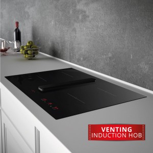 Induction Hob with Extractor Fan