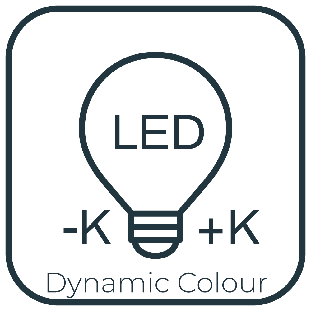 Dynamic LED Lights